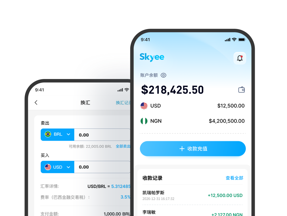 Skyee APP 页面展示